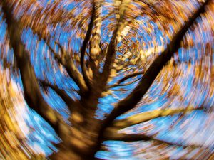 Dizziness and Vertigo in Seniors: 7 Questions to Ask - SilverSneakers